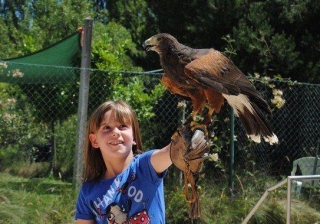  Oficina de falcoaria 